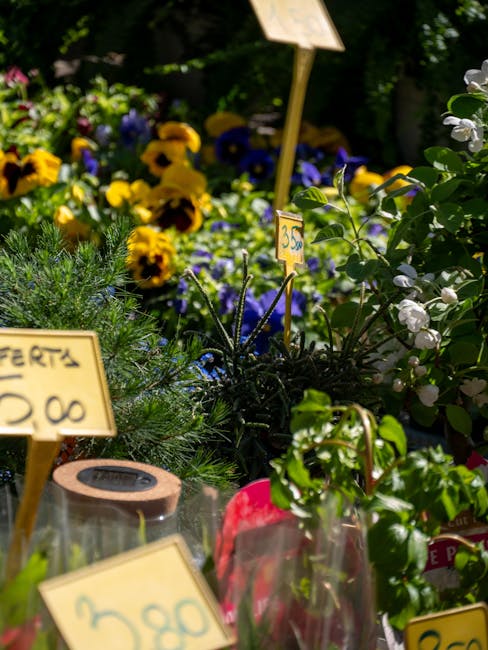 Pricing tags in a flower market
